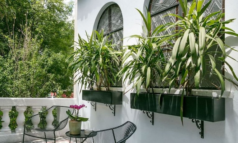 Orchid House Polanco