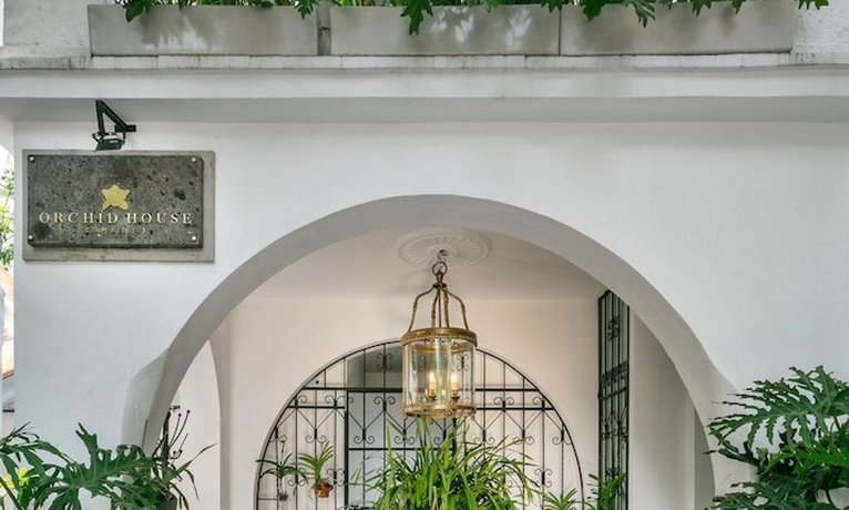 Orchid House Polanco