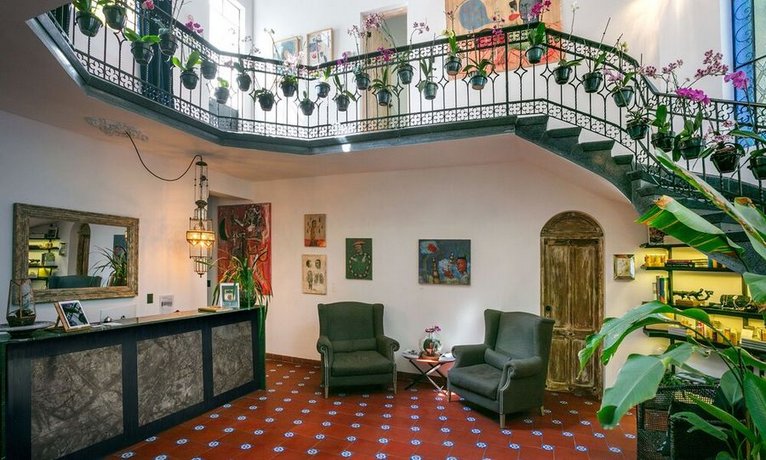 Orchid House Polanco
