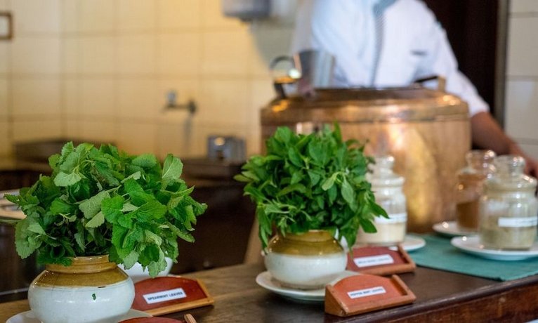 Spice Village - CGH Earth