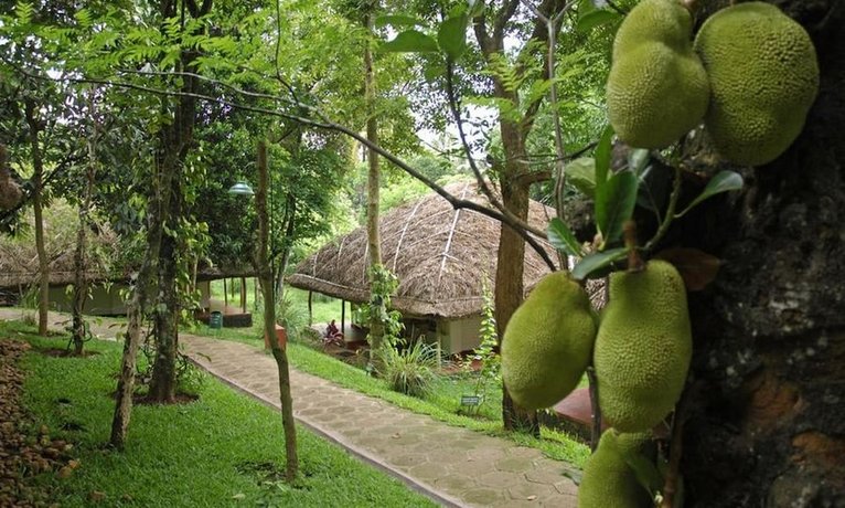 Spice Village - CGH Earth