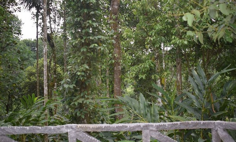 Shalimar Spice Garden - An Amritara Private Hideaway