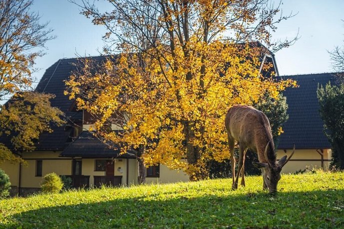 Apartman Tatranska Lomnica