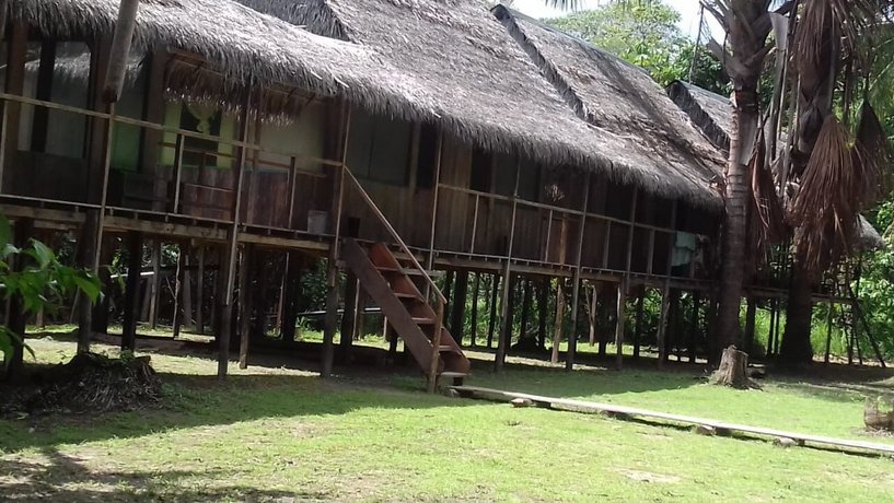 Jungle Reps Iquitos