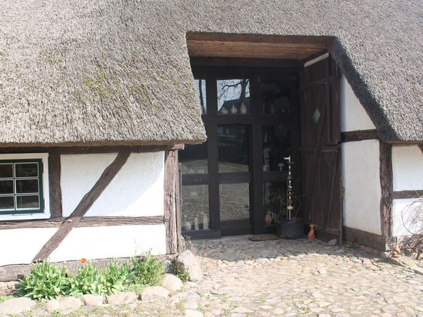 Reetdach 4 Linden