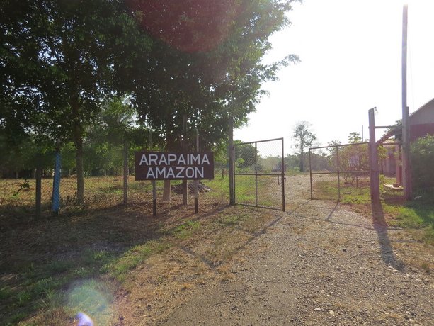 Arapaima Amazon Hostel