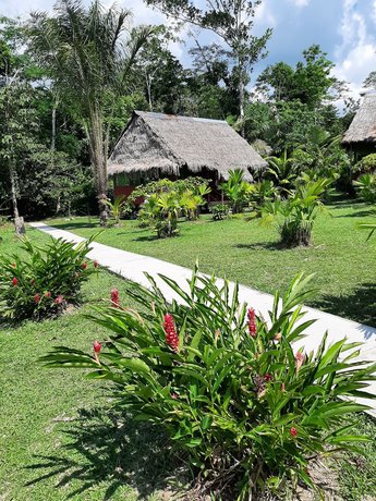 lupuna jungle tours and expeditions