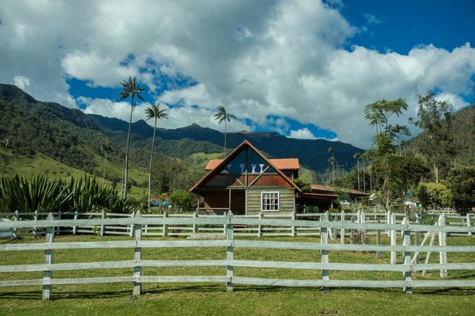 Palmas de Cocora