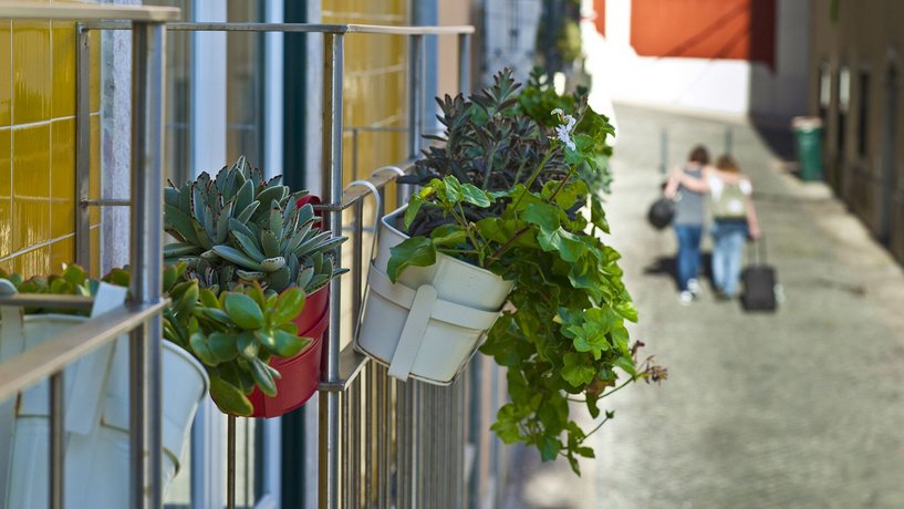 Duque's Apartments