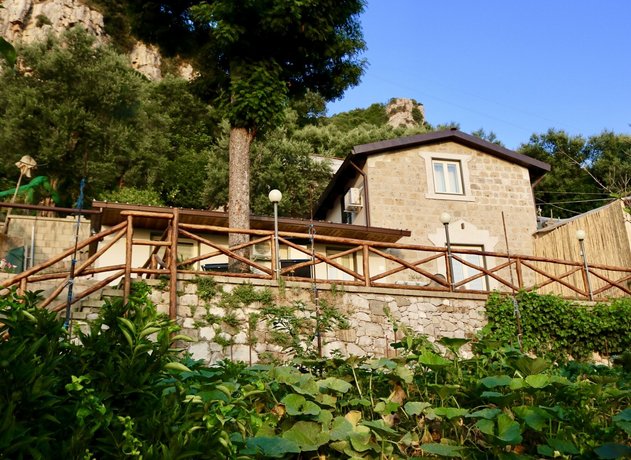 Traulivi