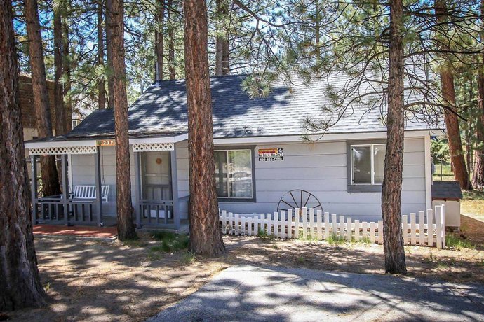 Pines 23 1438