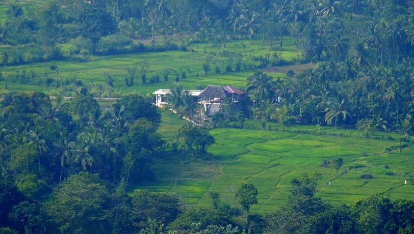Nelu Villa Sigiriya