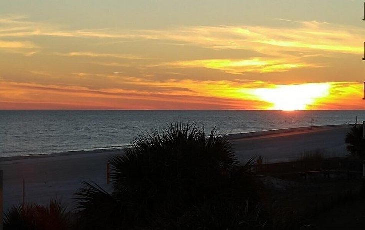 TradeWinds 204