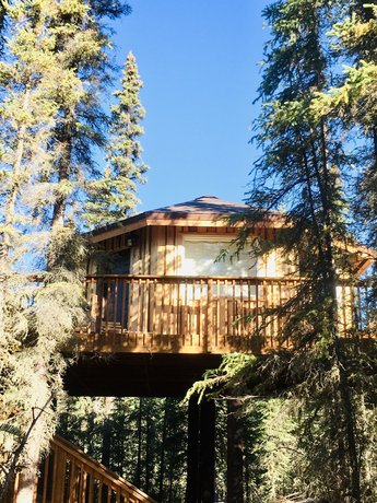 Cloudberry Cabin