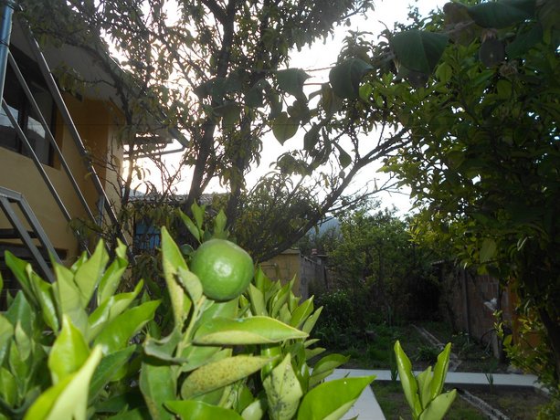 Garden Lodge Ollantaytambo