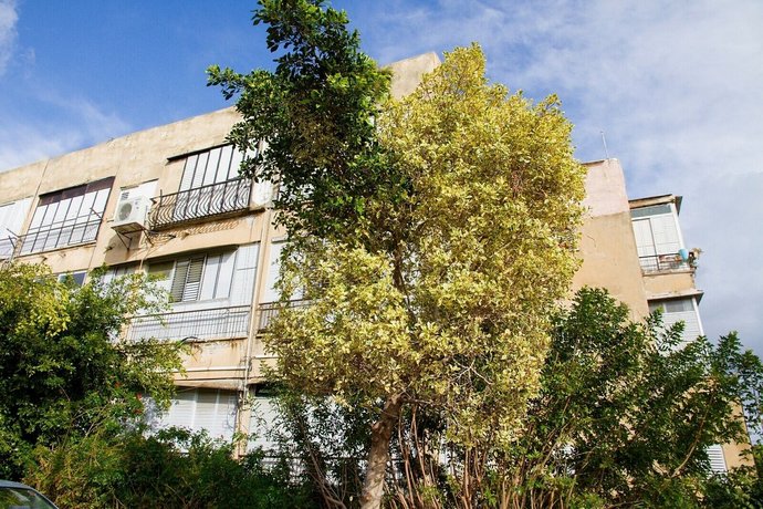 GK Apartments Herzel 53 St