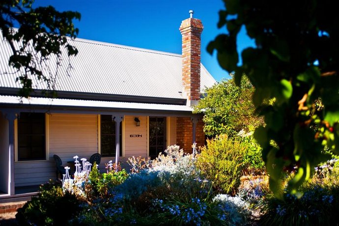 Circa Ivy Prince Daylesford