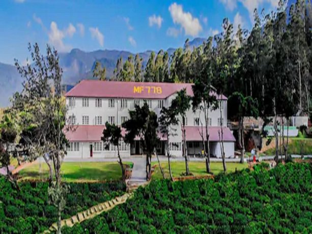 Tea and Experience Factory