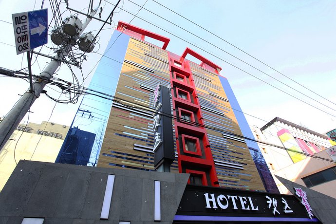 Cats Hotel Bucheon