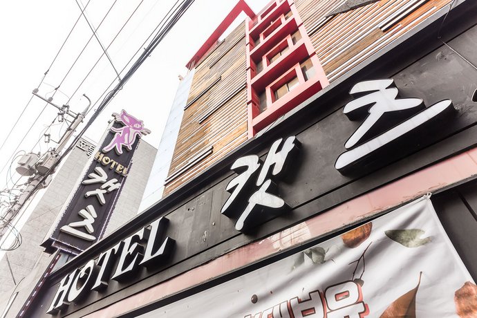 Cats Hotel Bucheon
