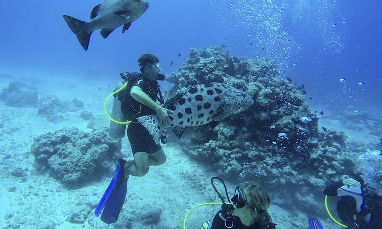 Lizard Island Resort