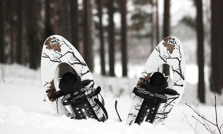 Anttolanhovi