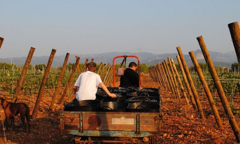 Weingut & Landhotel Can Davero