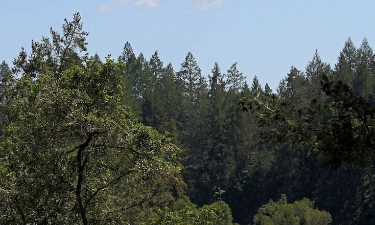Meadowood Napa Valley