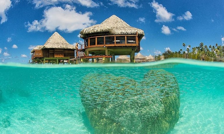 Hotel Kia Ora Resort & Spa