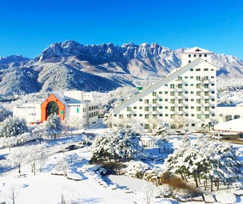 South Korea 호텔 | 흔들바위 근처 호텔 최저가 $22부터 | 스테이피아