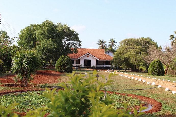 Margosa Green Attiar Hindu College Sri Lanka thumbnail