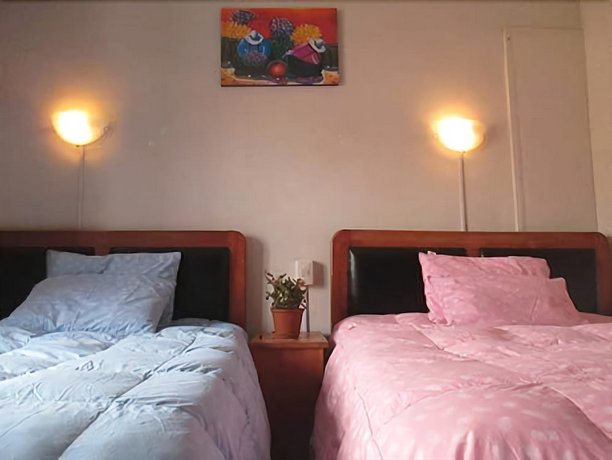 Peruvian Hostal