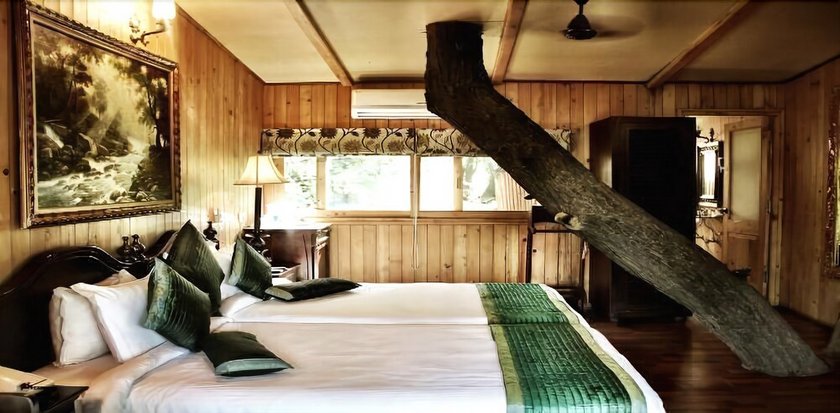 The Tree House Resort