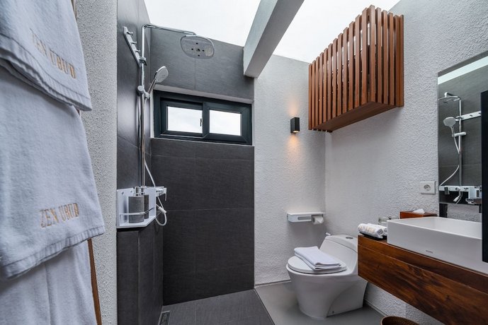 Zenubud Villa