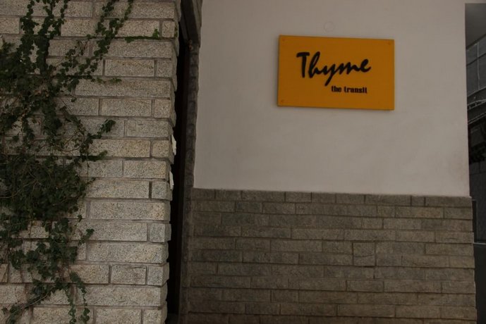 Thyme the Transit