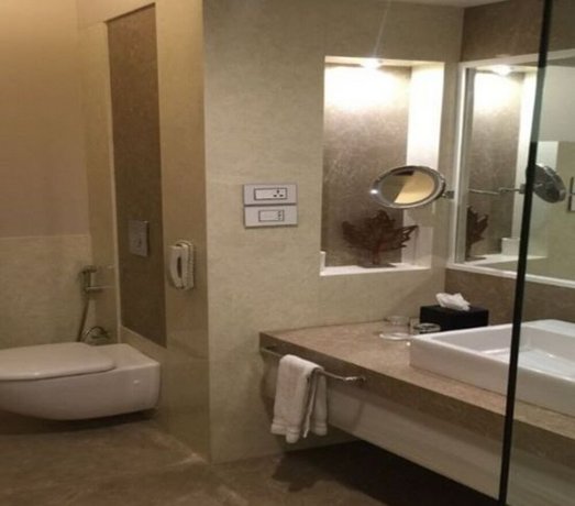 Radisson Udaipur