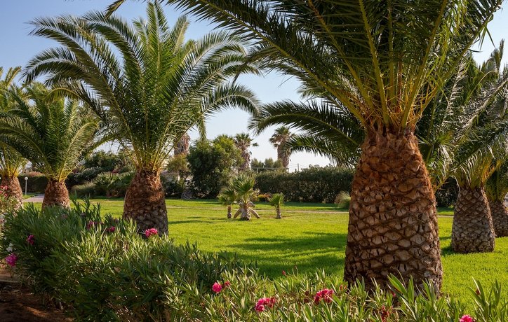 Akti Beach Club Hotel