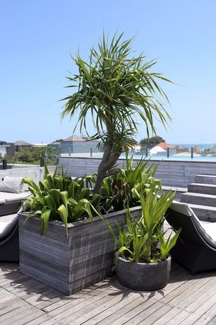 Surf Motel Canggu