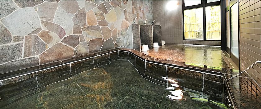 Hotel Shinsuien