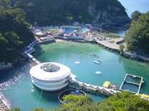 Hotel Light House Shimoda
