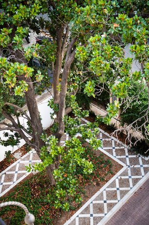 Villa Alfonso Luxury Villa In Midtown Parking