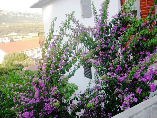 Jelka Apartments Jelsa
