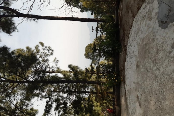 Sai homestay Kasauli