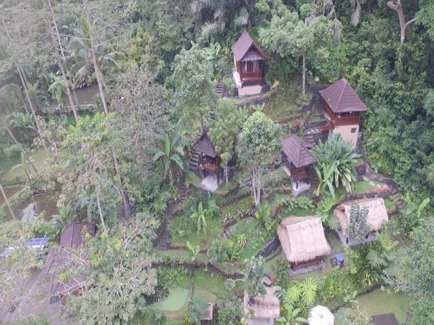 Bali Jungle Huts