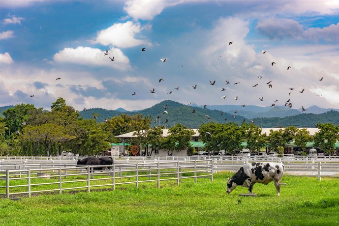 Phu View Resort Khao Yai