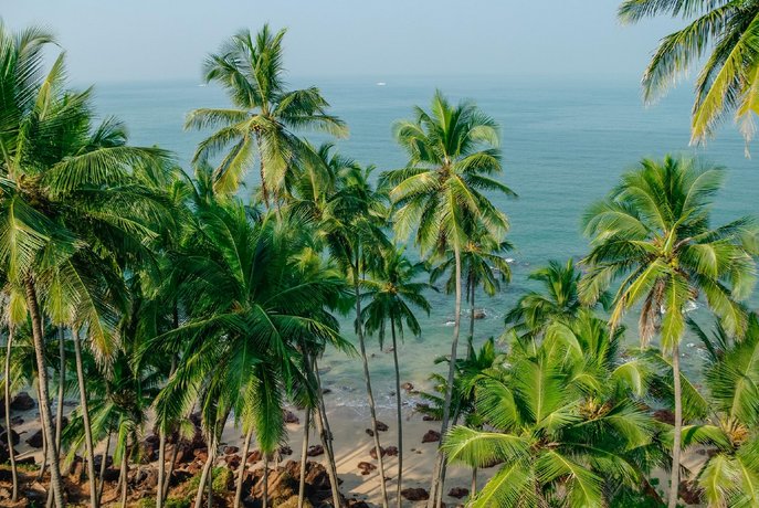Resort De Palolem