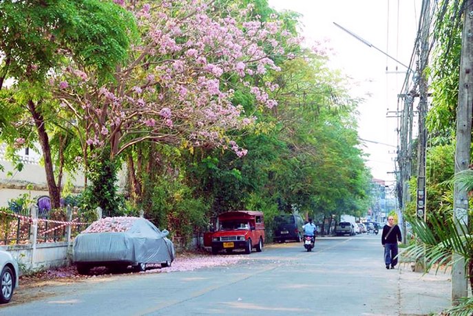 ChiangMai OldcitySundayWalking st PrivateTownhome