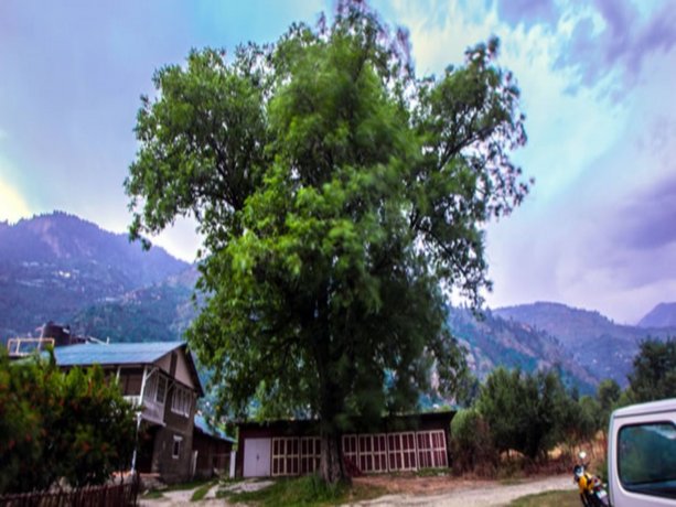 Ramgarh Heritage Villa