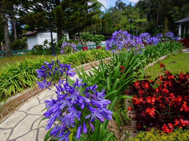 Misty Highlands Apartment @ Desa Anthurium