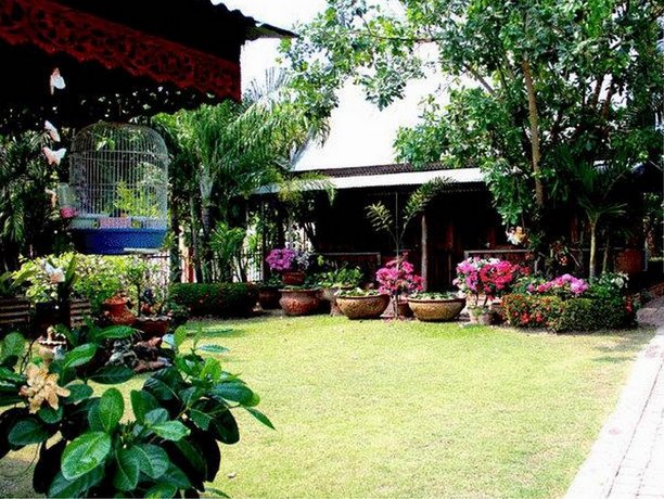 Orchid Hibiscus Guest House